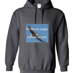 Fly Like An Eagle Hoodie