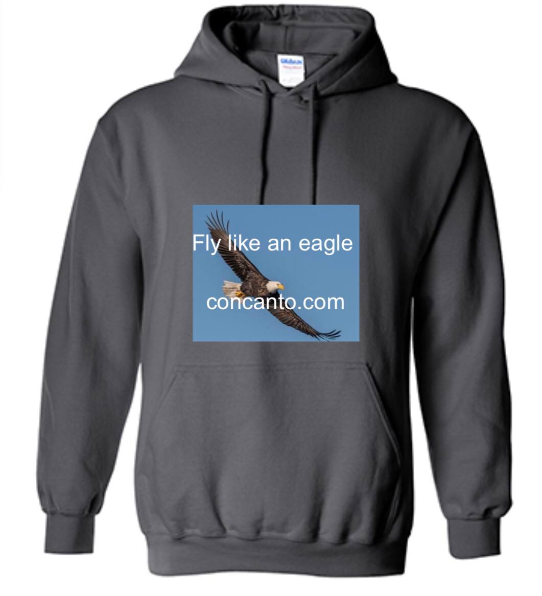 Fly Like An Eagle Hoodie